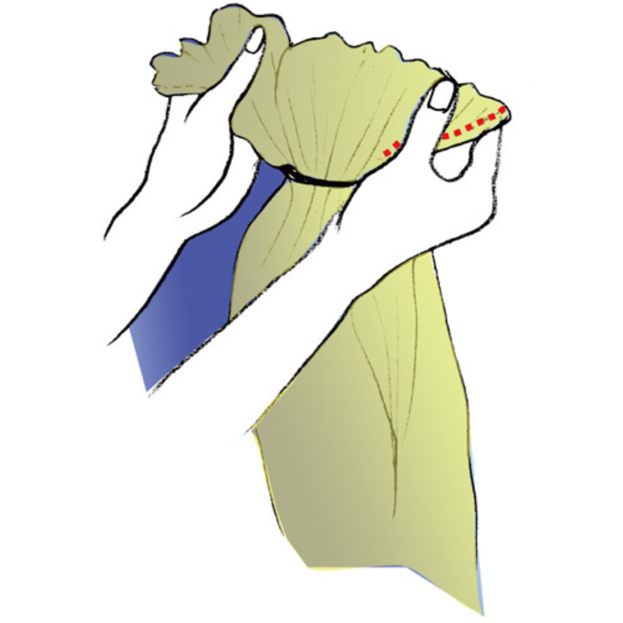 両端の間の重なった生地を、アコーディオンの蛇腹のように内側から均一な密度に広げて完全にねじれをほぐす仕上げの図解